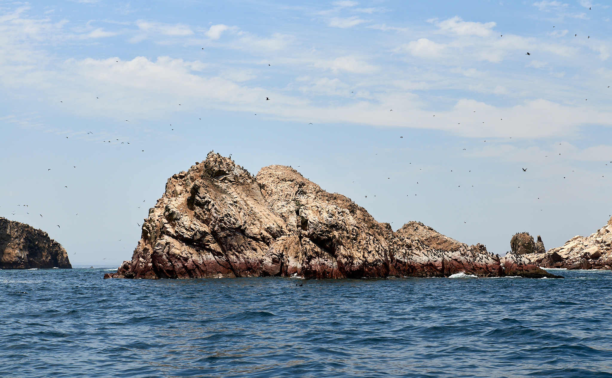 20200304 194 [페루] 바예스타섬